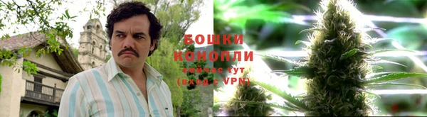 прущая мука Новозыбков