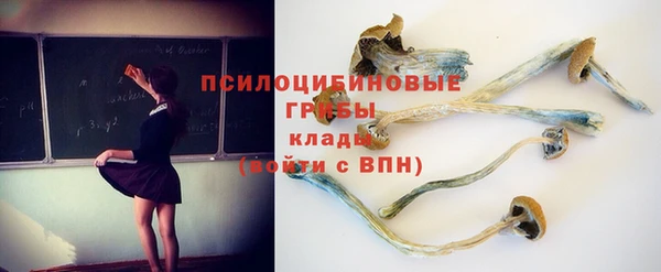 каннабис Новодвинск