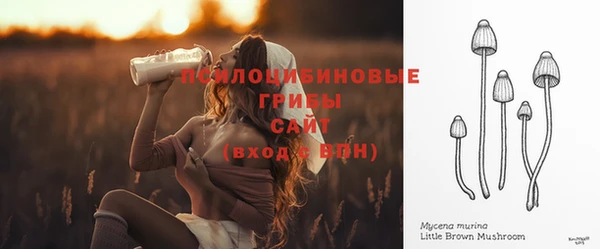 соль ск Новокубанск