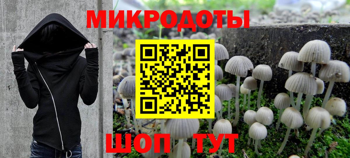 Псилоцибиновые грибы MAGIC MUSHROOMS  Братск  Галлюциногенные грибы прущие грибы 