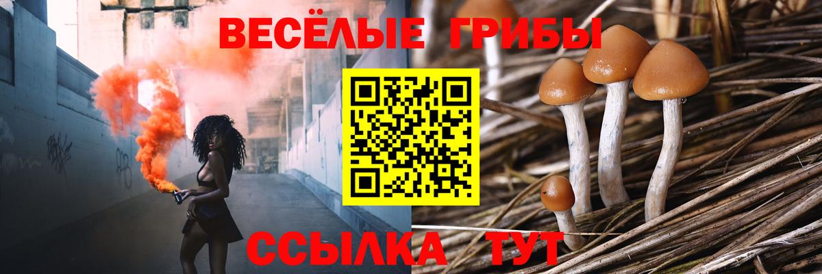 Братск  Псилоцибиновые грибы мицелий  Вход с VPN  Галлюциногенные грибы прущие грибы 
