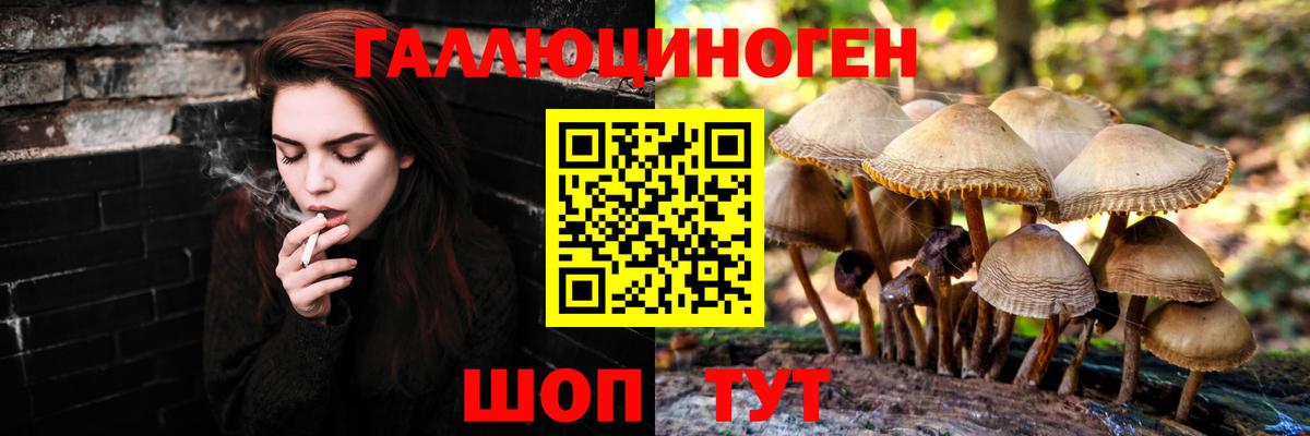 Галлюциногенные грибы MAGIC MUSHROOMS Братск